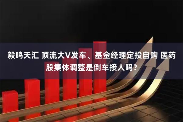 毅鸣天汇 顶流大V发车、基金经理定投自购 医药股集体调整是倒车接人吗？