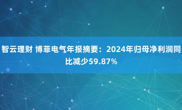 智云理财 博菲电气年报摘要：2024年归母净利润同比减少59.87%