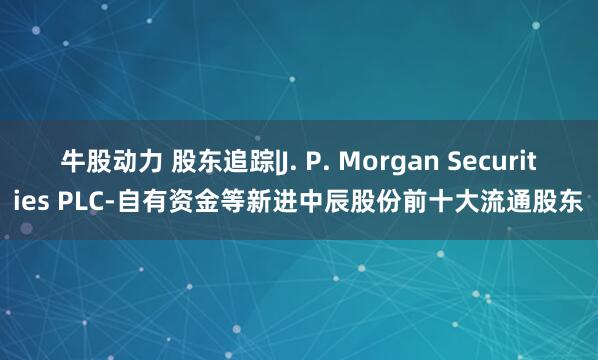 牛股动力 股东追踪|J. P. Morgan Securities PLC-自有资金等新进中辰股份前十大流通股东