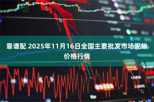 靠谱配 2025年11月16日全国主要批发市场泥鳅价格行情