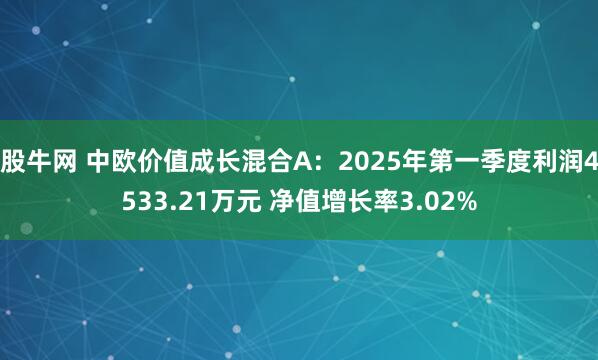 股牛网 中欧价值成长混合A：2025年第一季度利润4533.21万元 净值增长率3.02%