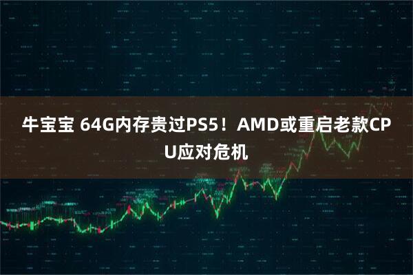 牛宝宝 64G内存贵过PS5！AMD或重启老款CPU应对危机